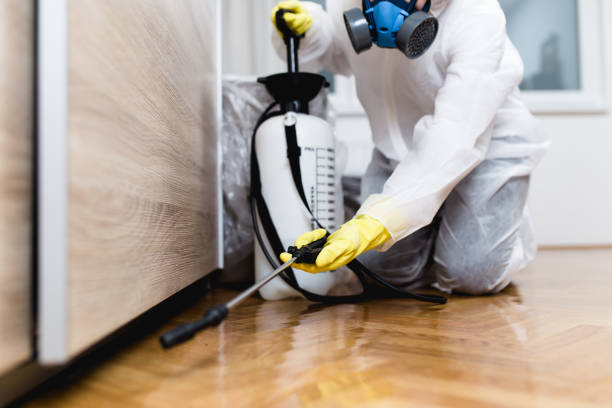 Best Flea Control Services  in Claryville, KY