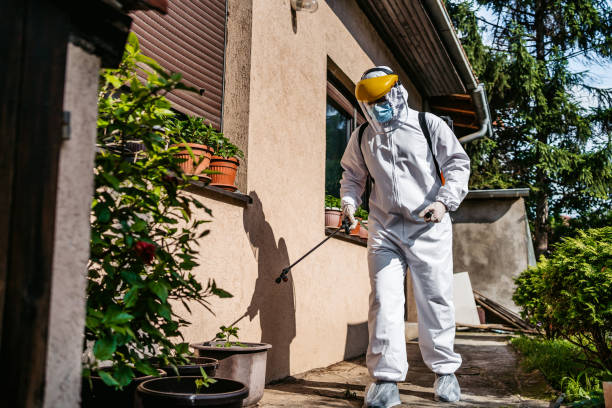 Best Best Pest Control Companies  in Claryville, KY