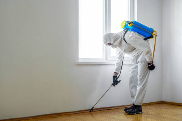 Best Pest Removal Services  in Claryville, KY