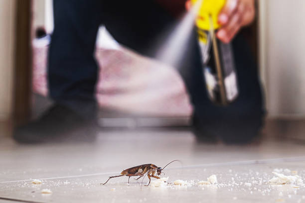 Reliable Claryville, KY Pest Control Solutions