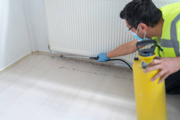 Best Cockroach Control Services  in Claryville, KY