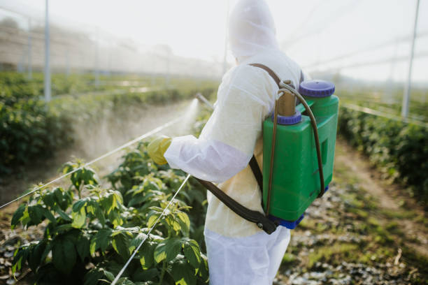 Flea Control Services in Claryville, KY